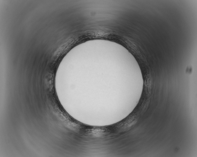 X0000111950462200908241208