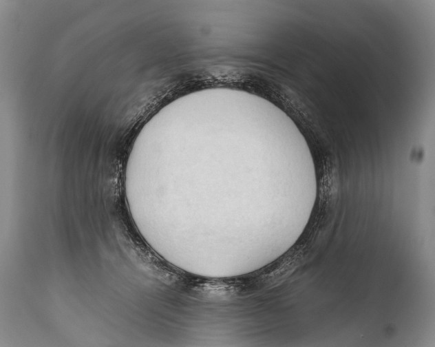 X0000111950464200908241208