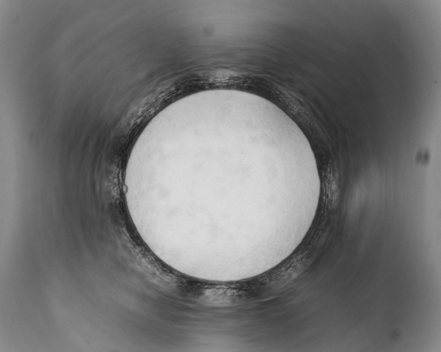 X0000111950470200908241208