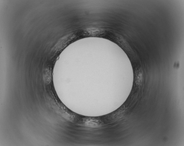 X0000111950471200908241208