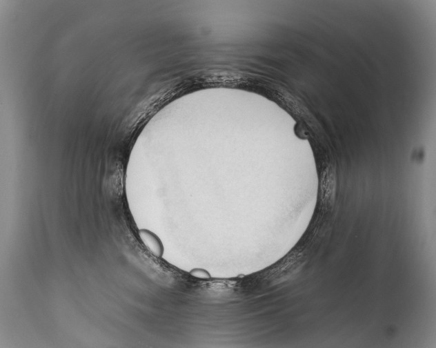 X0000111950474200908241208