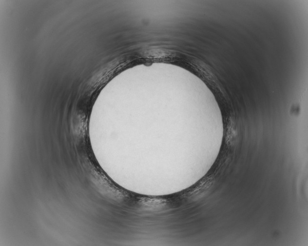 X0000111950476200908241209
