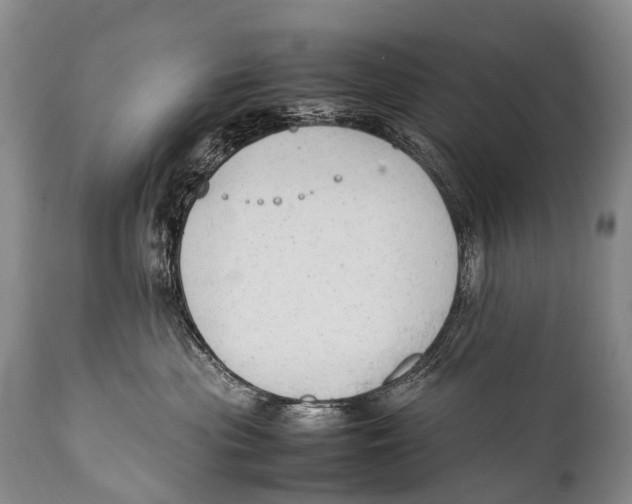 X0000111950477200908241209