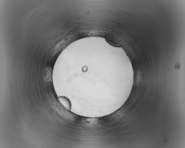 X0000111950478200908241209