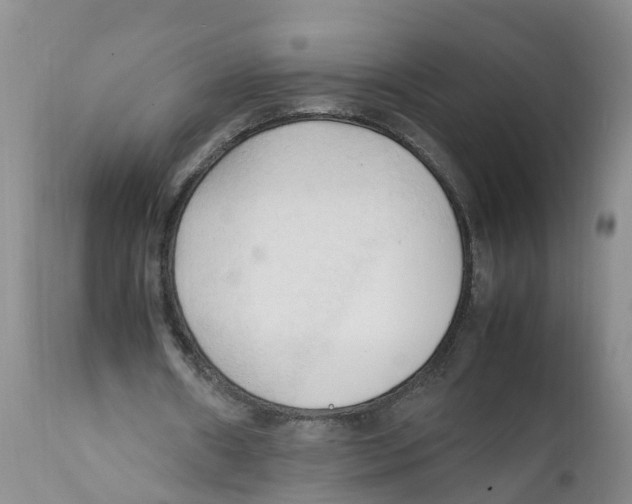 X0000111950482200908241208
