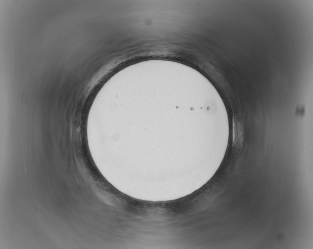X0000111950483200908241208