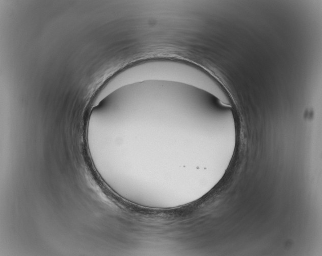 X0000111950485200908241208