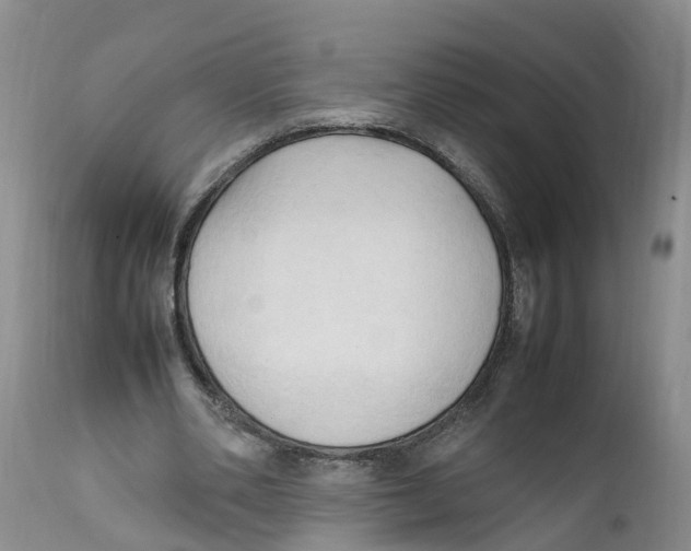 X0000111950486200908241208