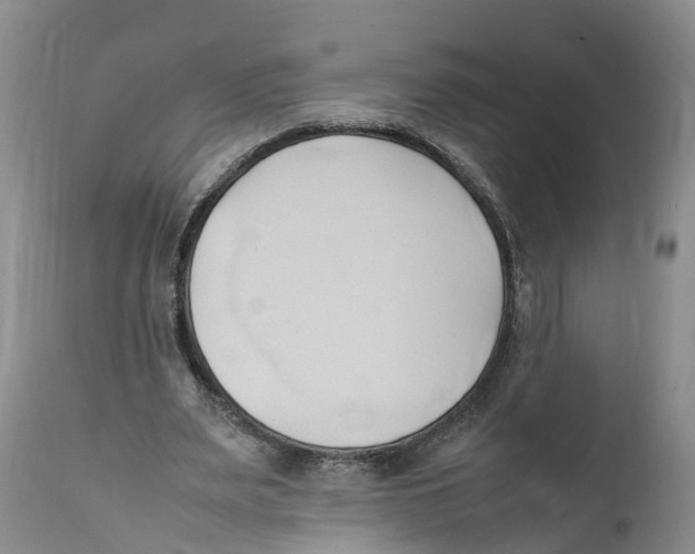 X0000111950487200908241208