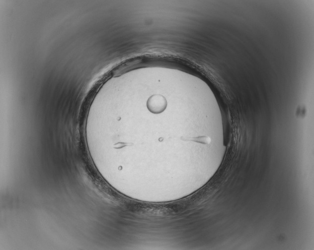 X0000111950488200908241208