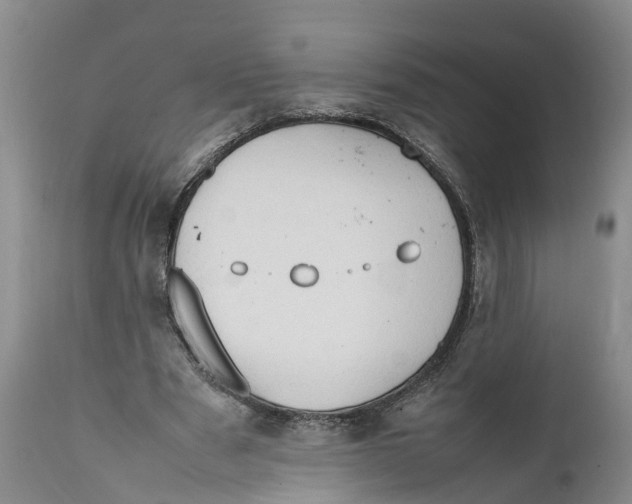 X0000111950489200908241208