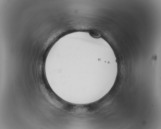 X0000111950491200908241208