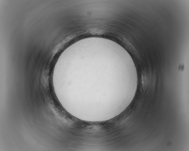 X0000111950492200908241208