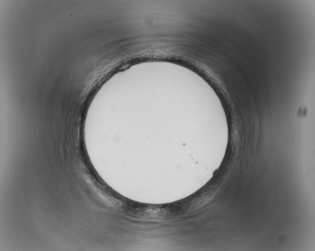 X0000111950493200908241208