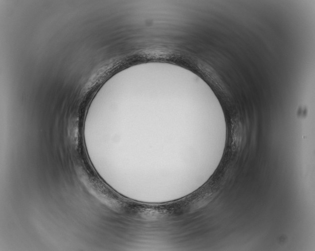 X0000111950494200908241208