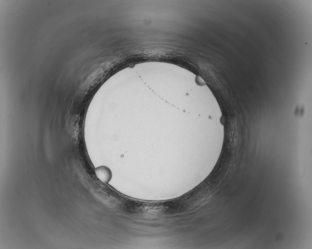 X0000111950495200908241208