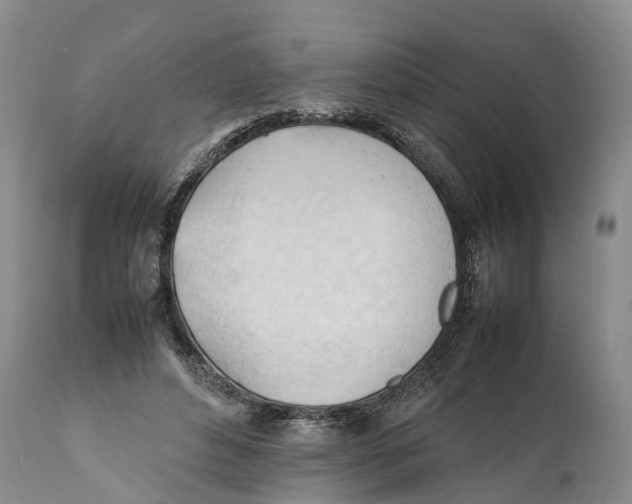 X0000111950496200908241208