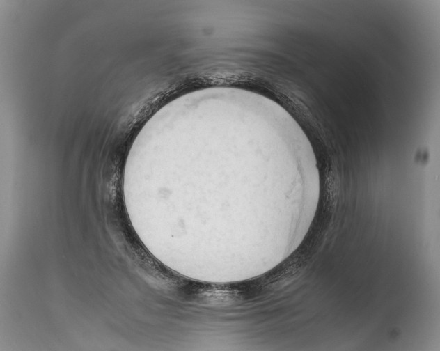X0000111950499200908241207