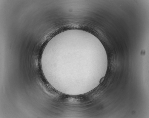 X0000111950500200908241207