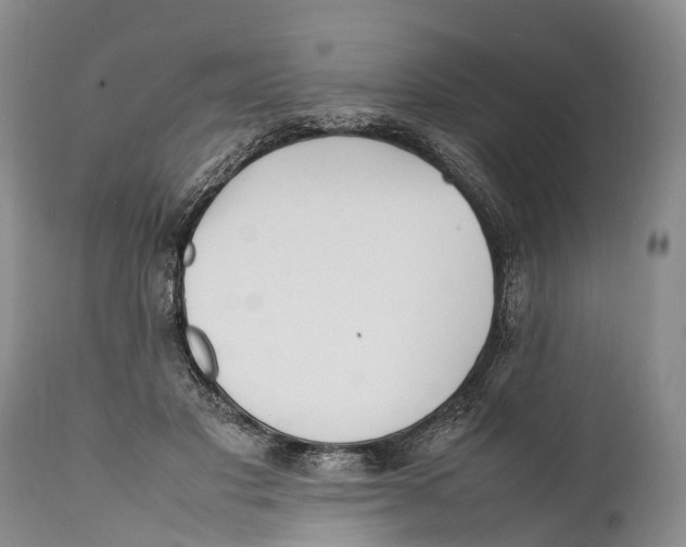 X0000111950501200908241207