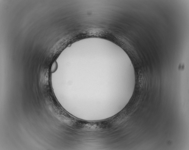X0000111950502200908241207