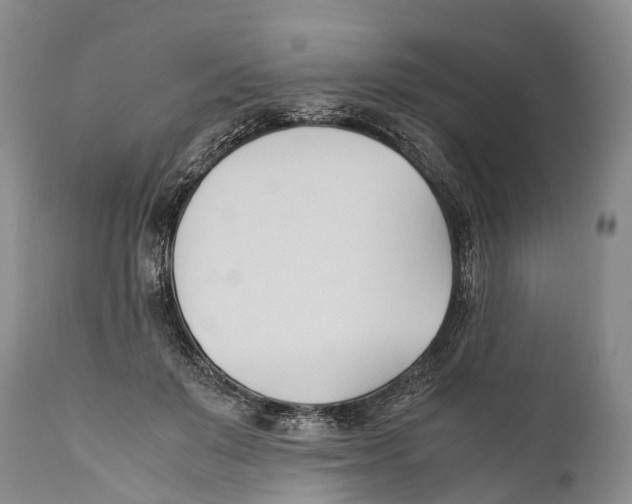 X0000111950503200908241207