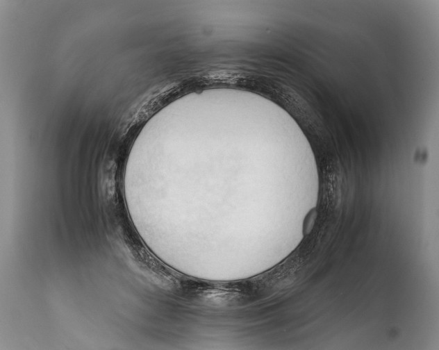 X0000111950504200908241207