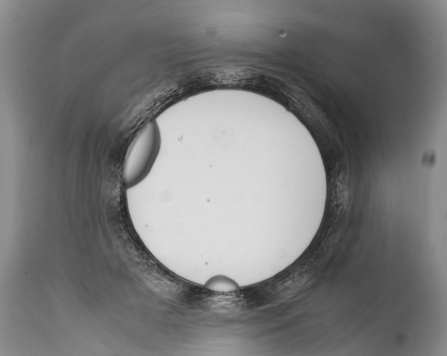 X0000111950505200908241207
