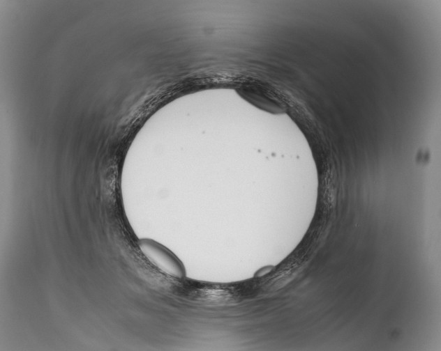 X0000111950509200908241207
