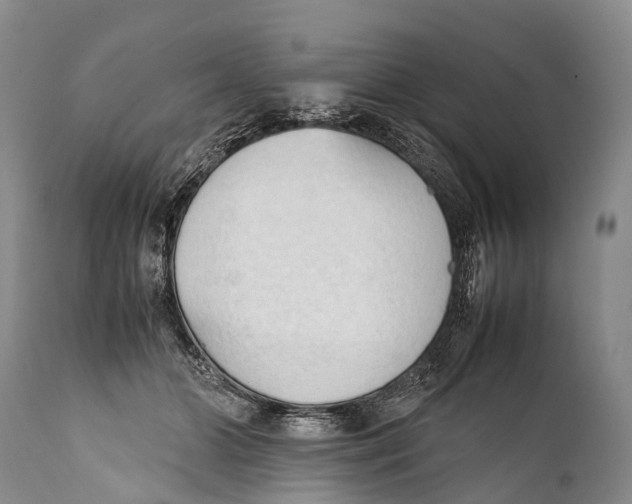 X0000111950510200908241207