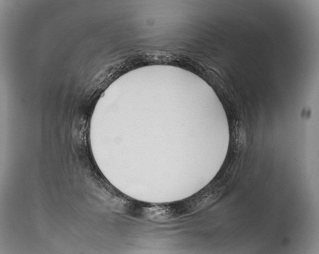 X0000111950511200908241207