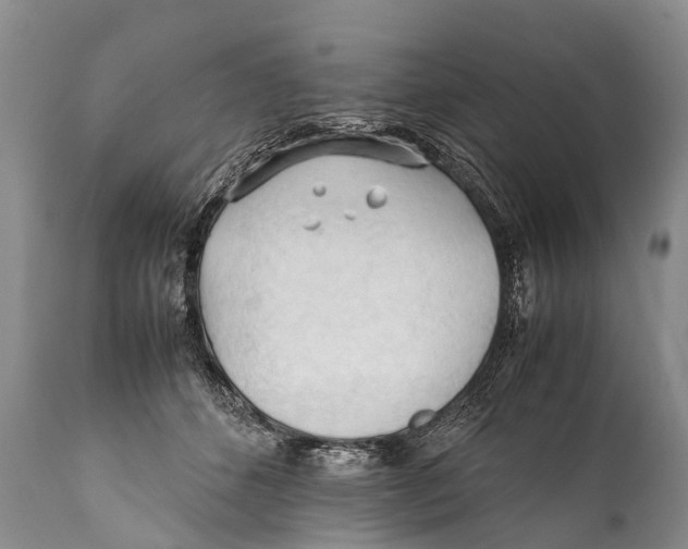 X0000111950512200908241207