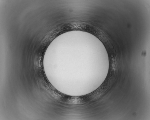 X0000111950514200908241207
