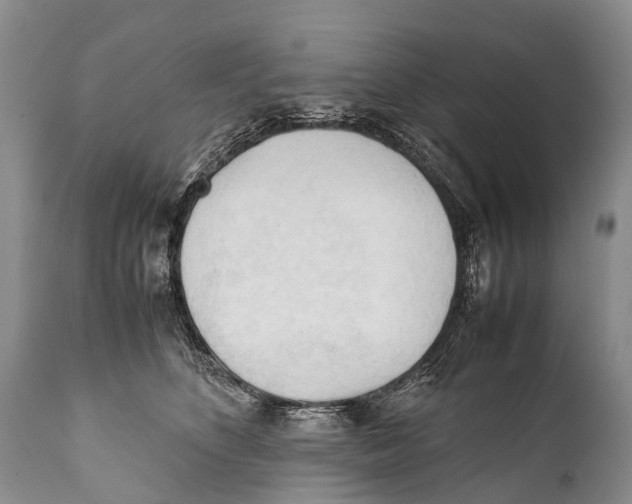 X0000111950516200908241207