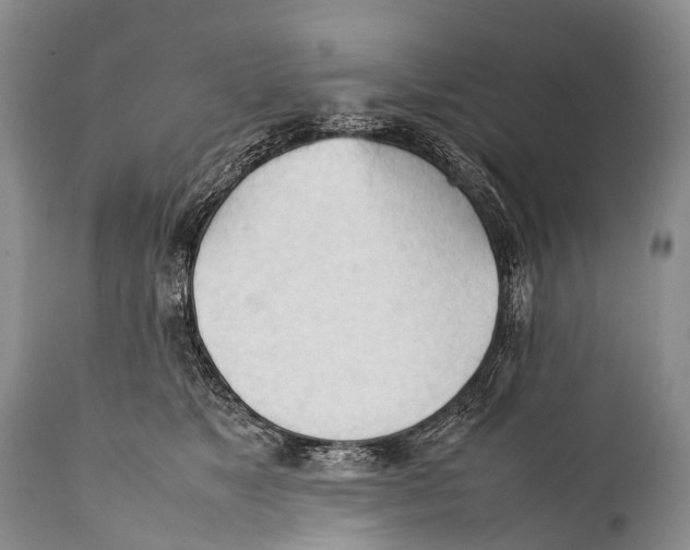 X0000111950517200908241207