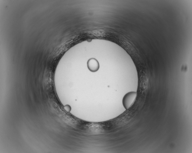 X0000111950518200908241207