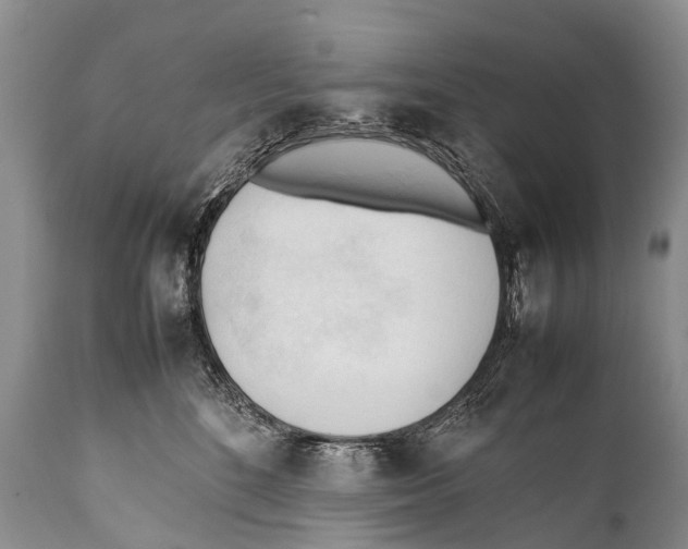 X0000111950520200908241207