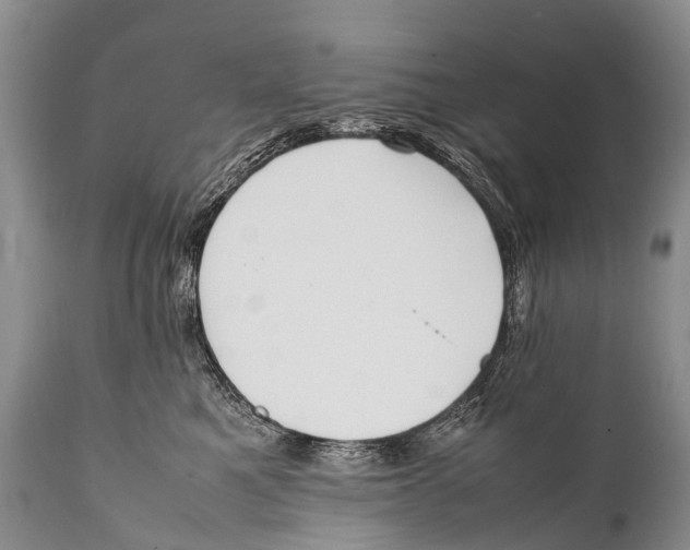 X0000111950521200908241207