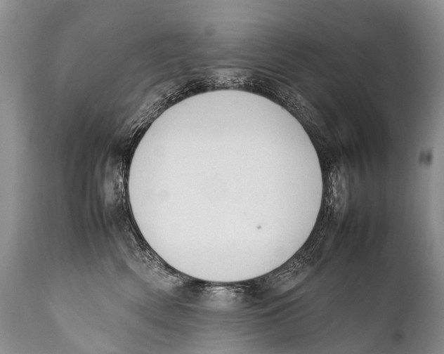 X0000111950522200908241207