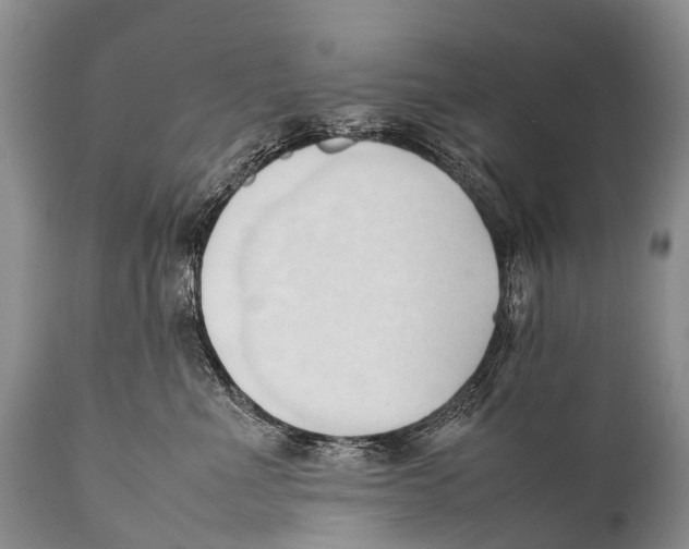 X0000111950523200908241207