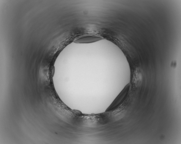 X0000111950524200908241207