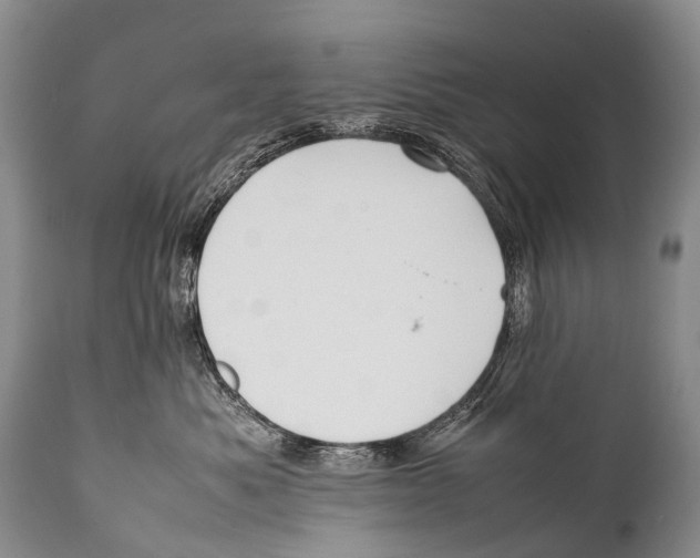 X0000111950525200908241207