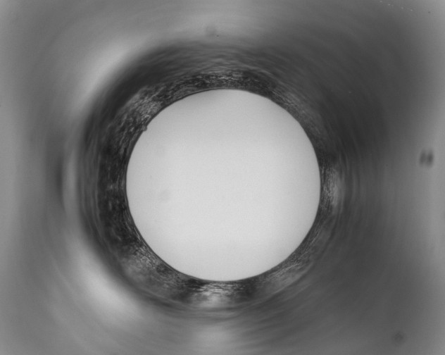 X0000111950526200908241207