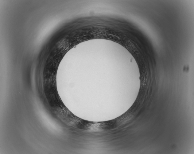X0000111950527200908241207
