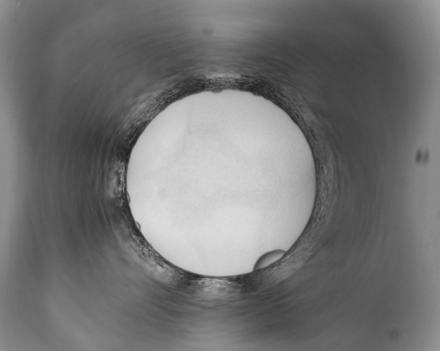X0000111950528200908241207