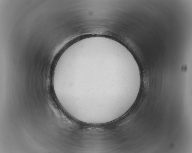 X0000111950532200908241206
