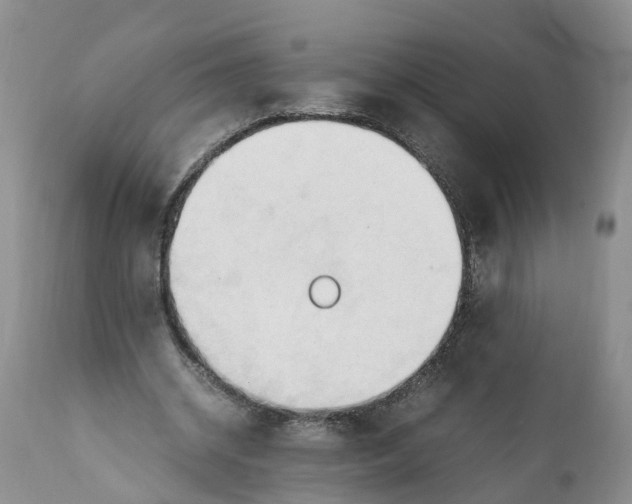 X0000111950534200908241206