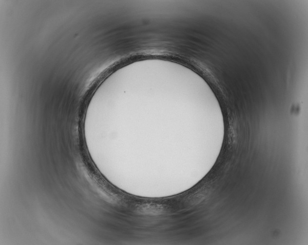 X0000111950535200908241206