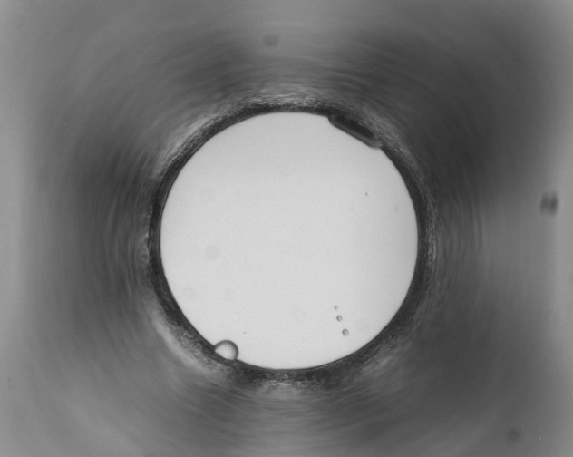 X0000111950538200908241207