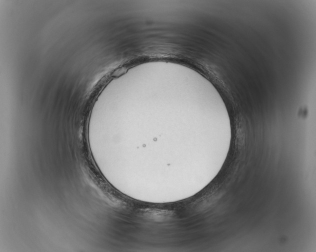 X0000111950539200908241207